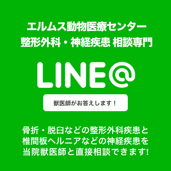 整形外科のご相談に獣医師がお答えします！