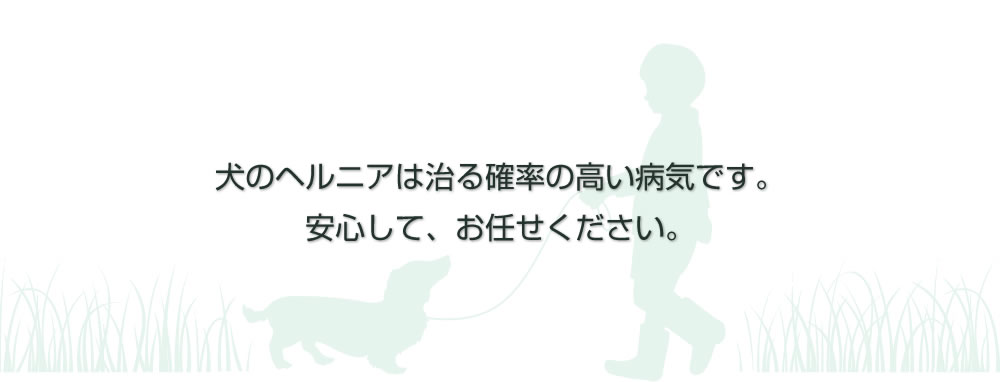 犬のヘルニアは治る確立の高い病気です。安心してお任せください。