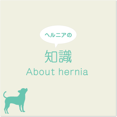 ヘルニアの知識