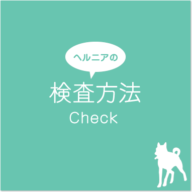 ヘルニアの検査方法