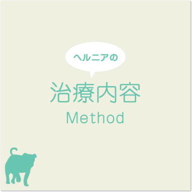 ヘルニアの治療内容