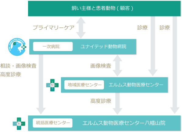 エルムスユナイテッド動物病院グループについて