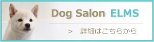 エルムスDog Salon