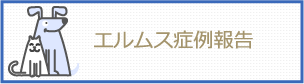 エルムス症例報告