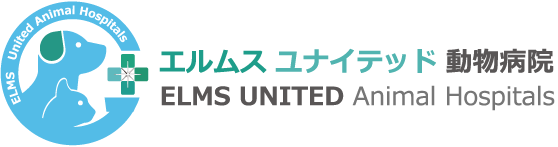 エルムスユナイテッド動物病院 |株式会社エルムスユナイテッド