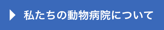 私たちの動物病院について