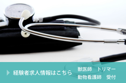 経験者求人情報はこちら